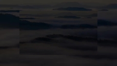 Przedstawienie firmy