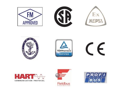 ExdIIBT4 YTH-100 Pressure Instrument